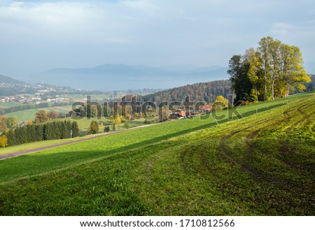 Foto Bild Österreich Umwelt Natur