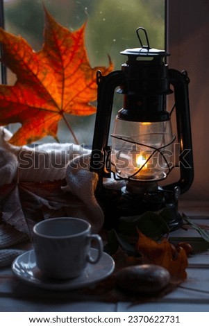 Similar – Image, Stock Photo November mood leaf twilight