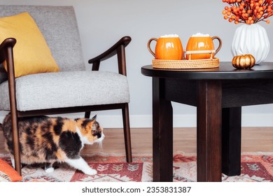 Autumn cozy mood composition for hygge home decor. Two cups of hot drink with marshmallows, flowers, candle on coffee table, modern armchair with cushion and walking cat pet. Warm fall atmosphere