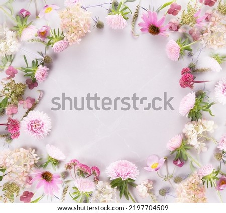 Autumn creative composition, frame from aster hydrangea flowers on a gray marble background. Autumn, fall background.