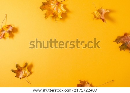 Autumn creative composition with leaves. Beautiful dried leaves on orange background. Fall concept. Autumn background. Flat lay, top view, copy space
