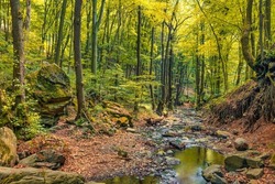 Autumn Creek Woodland With Sunny Yellow Trees Foliage Rocks In Forest Mountain. Idyllic Travel  Hiking Landscape, Beautiful Seasonal Autumn Nature. Amazing Dream Scenic Colorful Outdoor Inspire Nature