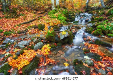 Autumn creek woods with yellow trees foliage and rocks in forest mountain. - Shutterstock ID 691814677