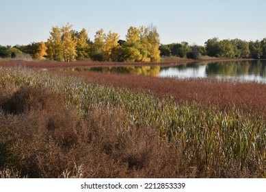 Autumn. Crown Hill Park,  Wheat Ridge, CO