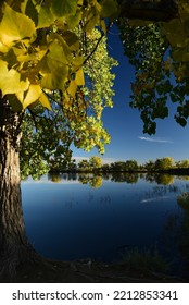 Autumn. Crown Hill Park,  Wheat Ridge, CO