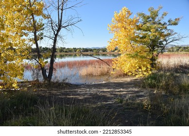 Autumn. Crown Hill Park,  Wheat Ridge, CO