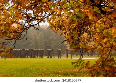 Autumn in Cytadela Park in Poznan. Unrecognized sculpture by Magdalena Abakanowicz. hidden behind the orange leaves of red oak