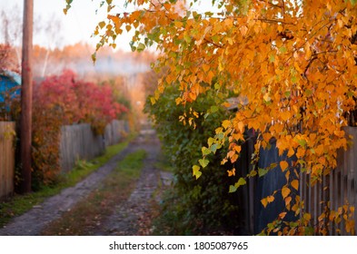 Autumn In A Dacha Village In Russia. 