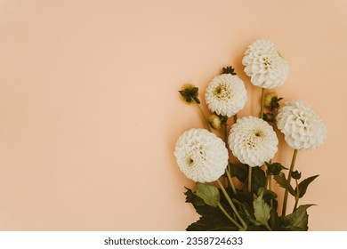 Autumn dahlias flowers bouquet on beige background. Top view. Copy space - Powered by Shutterstock