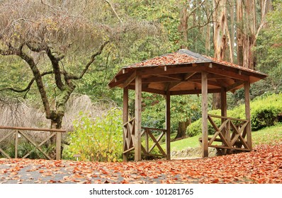 Autumn In The Dandenong Ranges, Victoria, Australia.