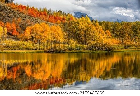 Autumn dark forest nature landscapes. Surroundings of scenery of dark autumn forest