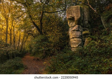 Autumn dawn at Eridge Rocks on the High Weald East Sussex south east England - Shutterstock ID 2220050945