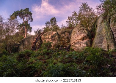Autumn dawn at Eridge Rocks on the High Weald East Sussex south east England - Shutterstock ID 2223718153
