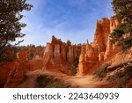 An autumn day in Bryce Canyon National Park