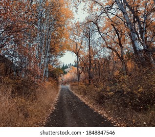 An Autumn Day In Central Washington State 