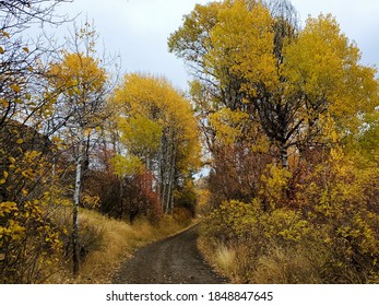 An Autumn Day In Central Washington State 