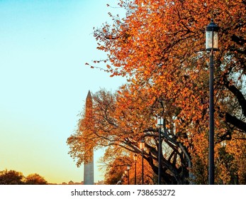 Autumn Day At The National Mall In Washington D.C.