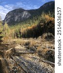 Autumn day on a trail facing Squamish chief mountain 