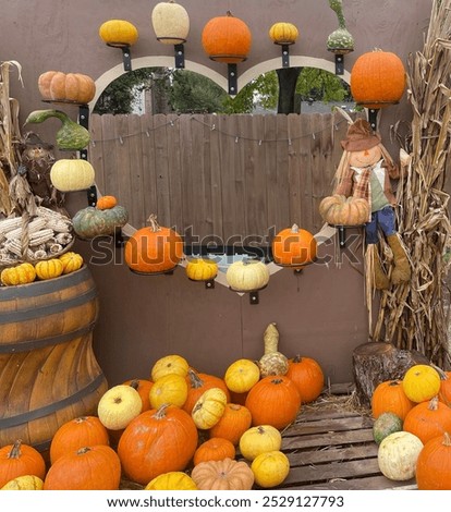 Autumn day at the pumpkin patch