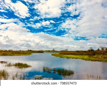 autumn day in the swamps of florida