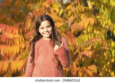 Autumn days are here again. Small child show thumbs up with yellow leaves in hair. Happy child on autumn landscape. Little child play on fresh air. Every child is innocent