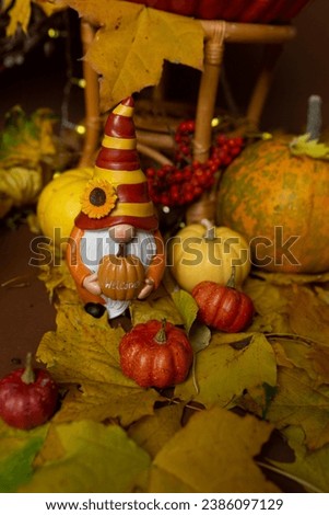 autumn decor, a figurine of a gnome with the inscription “Welcome” on a background of pumpkins, yellow autumn leaves