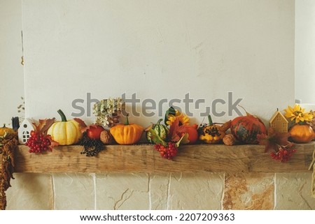 Autumn decor on fireplace in rustic room. Stylish pumpkins, flowers, berries, nuts, candle on rustic wood on stylish fireplace. Harvest at farmhouse, fall decor. Happy Thanksgiving and Halloween