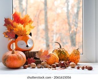 Autumn Decor On Windowsill. Fox Cup, Pumpkins, Nuts, Autumn Leaves And Window. Symbol Of Fall Season. Home Cozy Composition