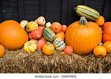 Autumn Decor.  Pumpkins, Squash, Gourds, And Hay Against Dark Wooden Barn Board, Arranged In A Pleasing Fall Outdoor Display.