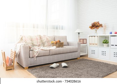 Autumn Decoration Living Room With Nobody No People For Copy Space Background