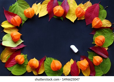 Autumn decoration of red yellow green leaves, physalis and a piece of chalk on black background