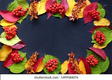 Autumn decoration of red yellow green leaves and rowan berries on black background