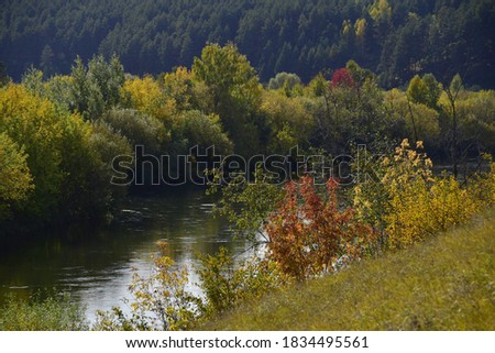 Autumn decoration of vegetation along the banks of the Ural river Iren. Sunny autumn in the foothills of the Western Urals.
