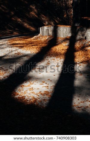 Similar – Image, Stock Photo shadow Environment Nature