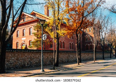 Autumn Of Deoksugung Stonewall Walkway In Seoul, Korea