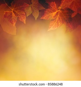 Autumn design background with colorful red and yellow leaves falling from the tree