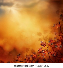 Autumn Design Floral Background With Leaves In Season Colors. Fall Decoration Concept.