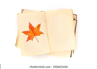 Autumn Design Template. An Open Botanical Journal With A Watercolour Drawing Of A Fall Leaf. A Book On Nature Studies Mock-up, Shot From The Top On A White Background With A Place For Text