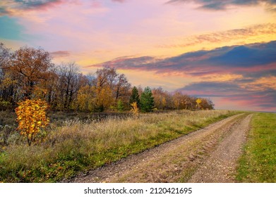 Autumn dirt roads. A canopy of golden yellow tree leaves sets off a dirt road in mid-October. The forests seem to glow with the colors of the Fall. What a wonderful time of the year!
