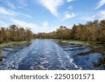 Autumn in the Dismal Swamp Canal in North Carolina. This is a popular section for boaters doing the Great Loop on the Intracoastal Waterway.