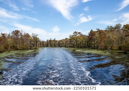 Autumn in the Dismal Swamp Canal in North Carolina. This is a popular section for boaters doing the Great Loop on the Intracoastal Waterway.