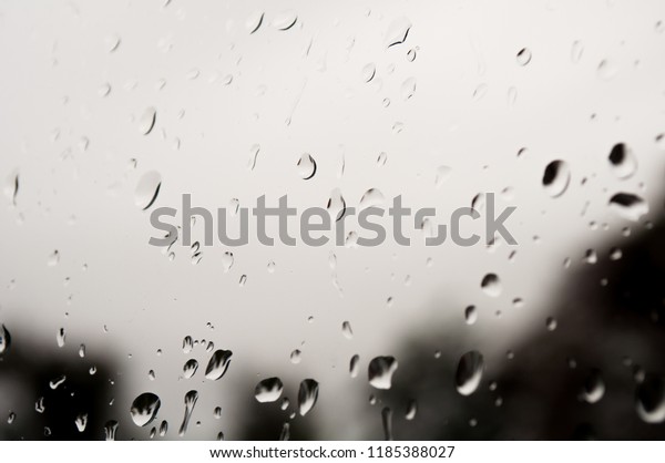 autumn,
drops of rain on the window, late rain
autumn