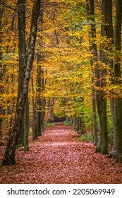 Autumn In Eindhoven The Netherlands