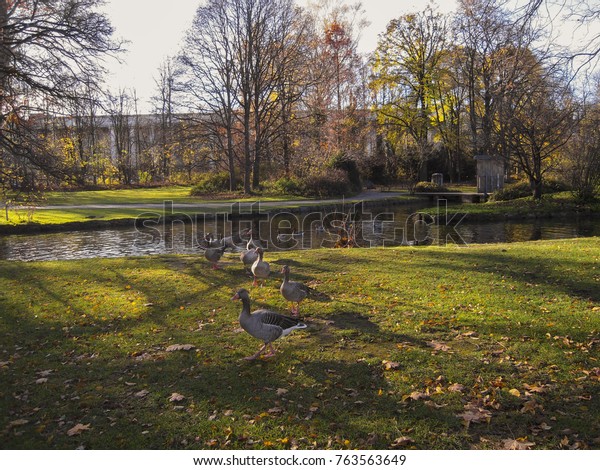 Autumn Englischer Garten Munich Germany Stock Photo Edit Now