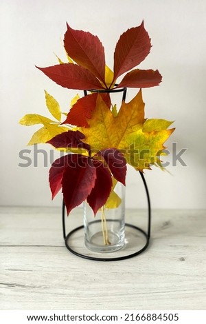 Autumn Equibane. Yellowed and reddened leaves in a stylish vase.