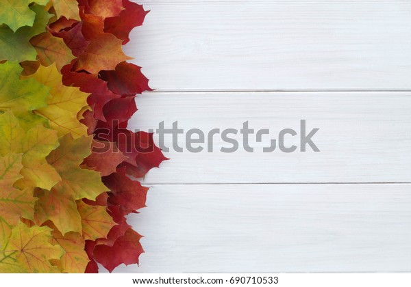 Autumn, fall\
background of colorful leaves border over white wooden board. Fall\
season. Space for text. Top\
view.