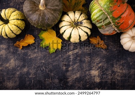 Autumn fall background with pumpkins