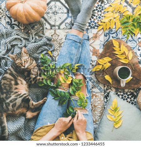 Autumn or Fall balcony tea time. Flat-lay of female and cat sitting on colorful tiled floor, fallen leaves, warm blanket, pumpkin and cup of herbal tea, top view, square crop. Autumn mood concept