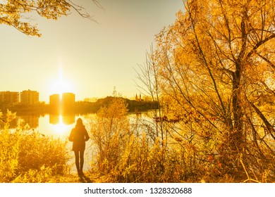 Autumn Fall Colors, Yellow Tree Leaves Girl Walking In City Park. Nature Outdoor Lifestyle.