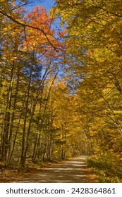 Autumn fall colours, vermont back country road near west arlington, virginia, united states of america, north america